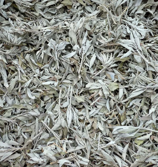 White Sage Califórnia Qualidade Superior 1KG