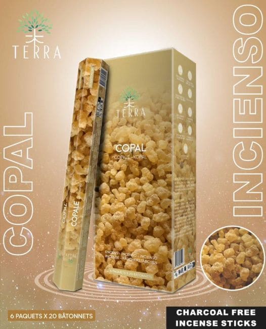 Incenso Terra frankincense hexa sem carvão 30grs