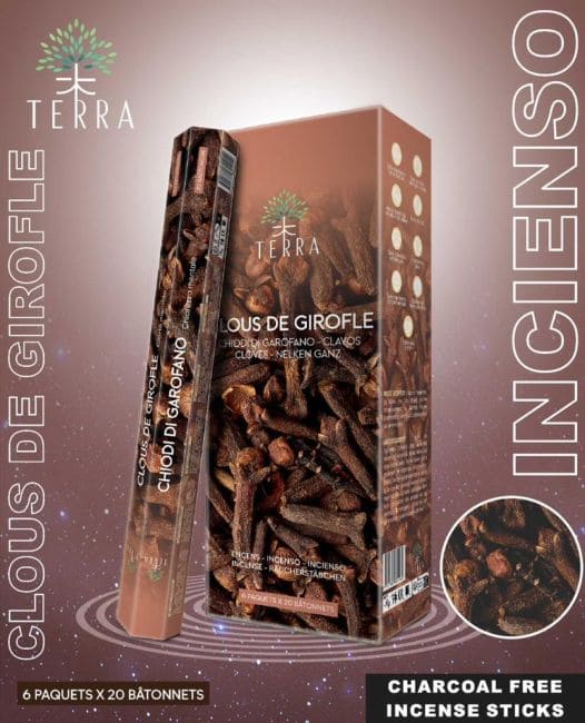 Incenso Terra Clove hexa sem carvão 30grs