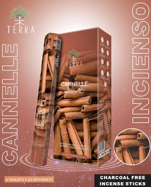 Incenso Terra canela hexa carvão vegetal 30grs