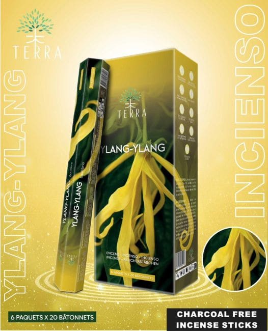 Incenso Terra Ylang-Ylang Hexa sem carvão 30grs